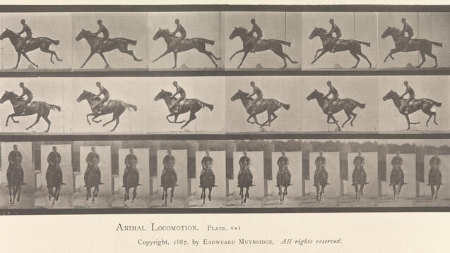 Eadweard Muybridge, 1887, "Animal Locomotion," https://www.metmuseum.org/art/collection/search/266441